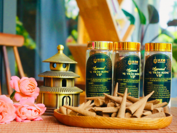 Vòng tay trầm hương- Bột trầm hương Hudo Tiên Phước Quảng Nam